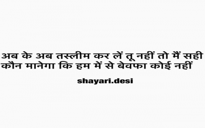 अब के अब तस्लीम कर लें तू नहीं तो मैं सही, कौन मानेगा कि हम में से बेवफा कोई नहीं